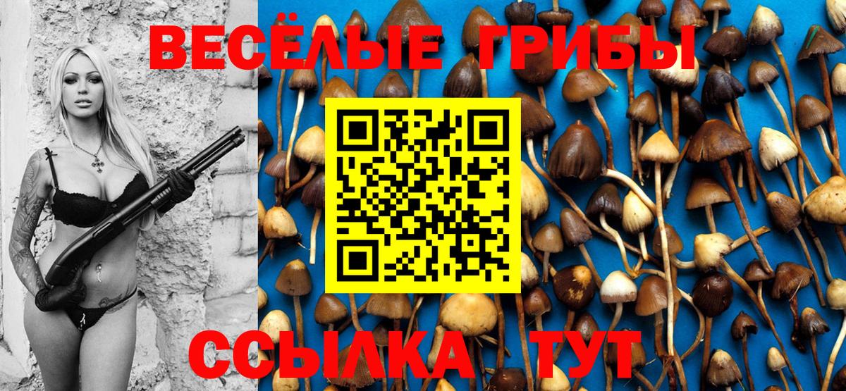 Псилоцибиновые грибы прущие грибы  Вход с VPN  Киров 