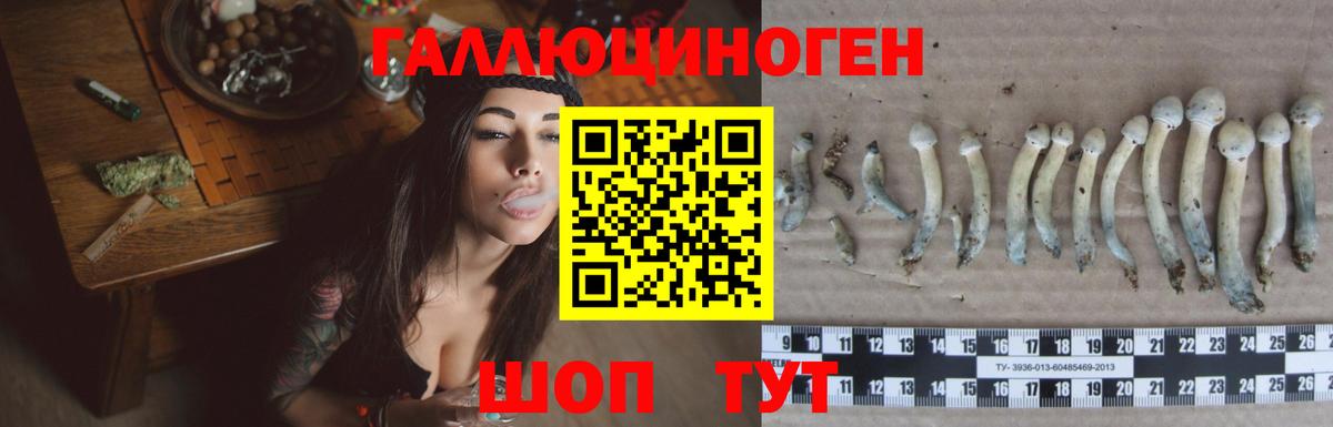 Псилоцибиновые грибы мицелий Киров